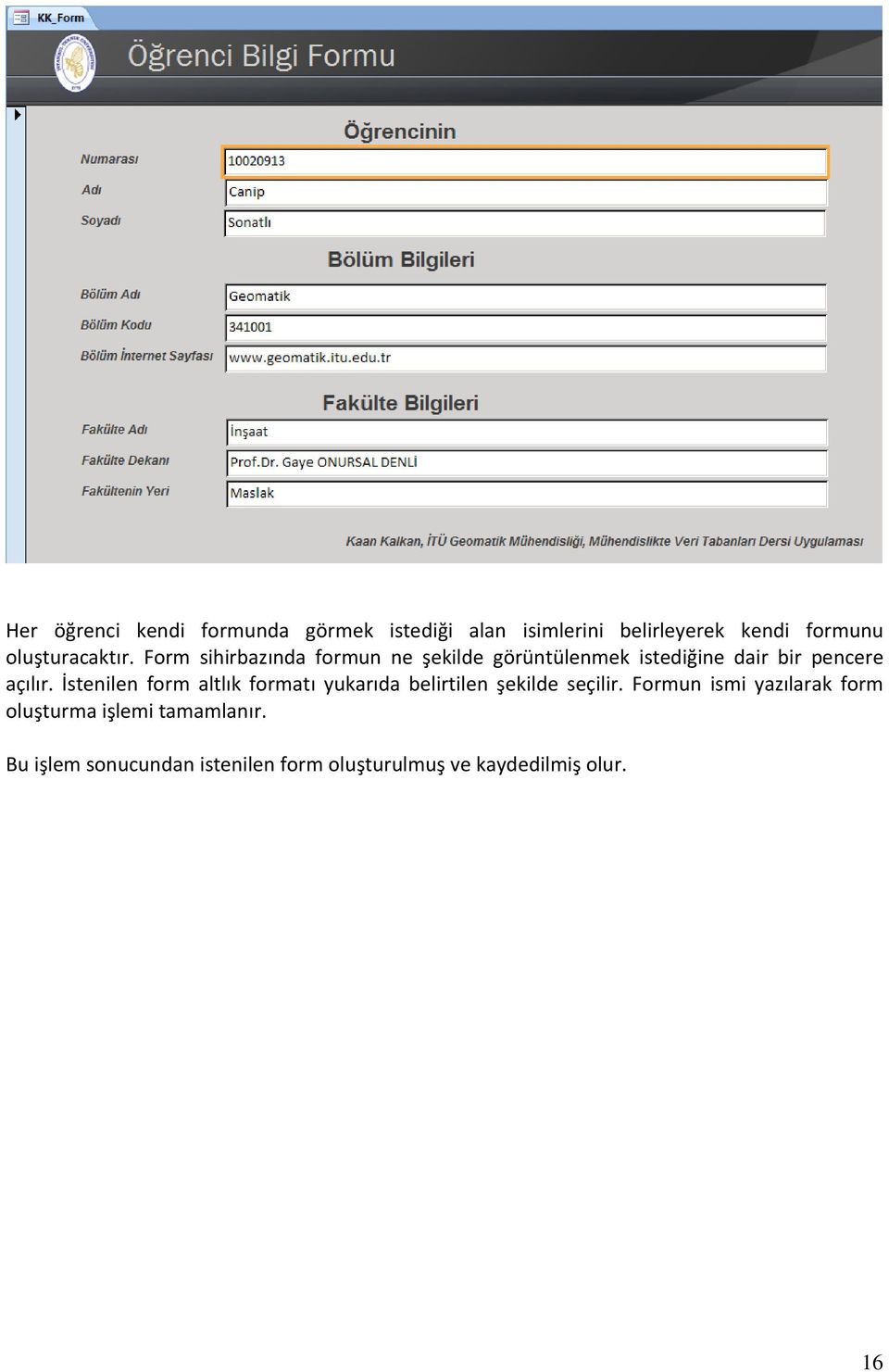 Form sihirbazında formun ne şekilde görüntülenmek istediğine dair bir pencere açılır.