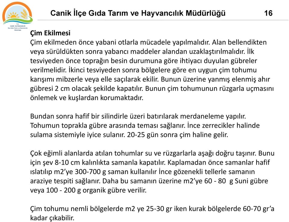 İkinci tesviyeden sonra bölgelere göre en uygun çim tohumu karışımı mibzerle veya elle saçılarak ekilir. Bunun üzerine yanmış elenmiş ahır gübresi 2 cm olacak şekilde kapatılır.