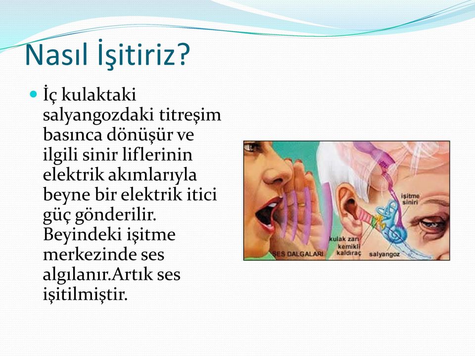 ilgili sinir liflerinin elektrik akımlarıyla beyne bir