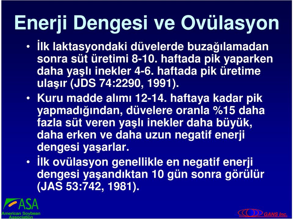 haftaya kadar pik yapmadığından, düvelere oranla %15 daha fazla süt veren yaşlı inekler daha büyük, daha erken ve