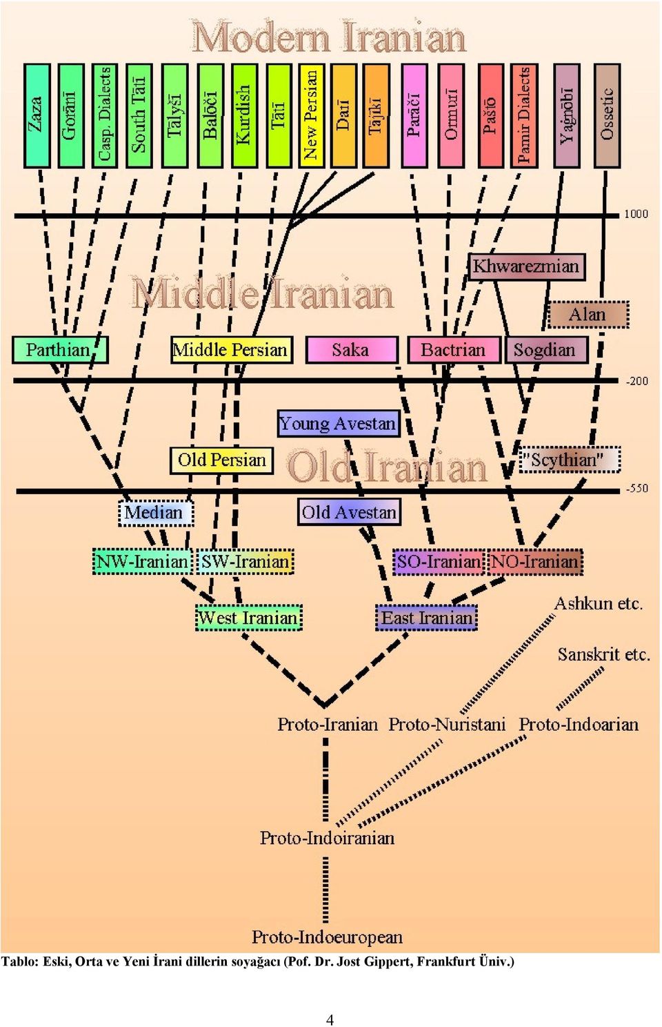 soyağacı (Pof. Dr.