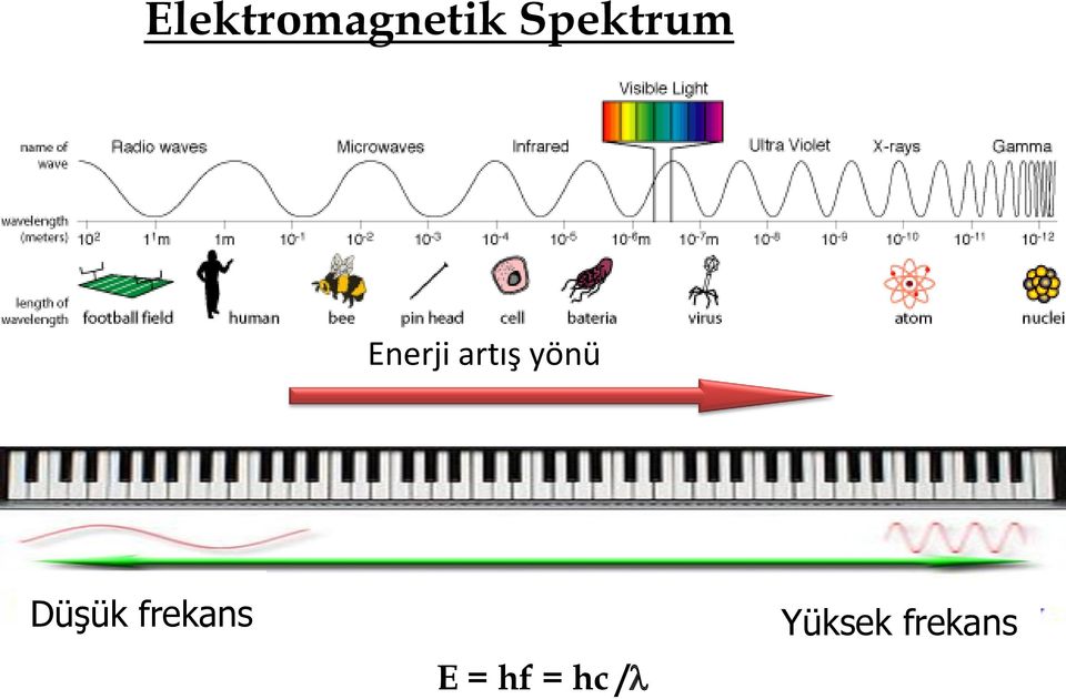 yönü Düşük frekans E