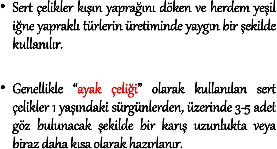 Genellikle ayak çeliği olarak kullanılan sert çelikler 1 yaşındaki