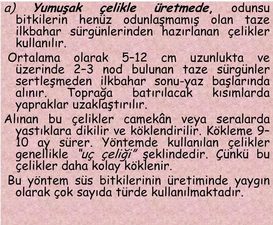 Toprağa batırılacak kısımlarda yapraklar uzaklaştırılır. Alınan bu çelikler camekân veya seralarda yastıklara dikilir ve köklendirilir.