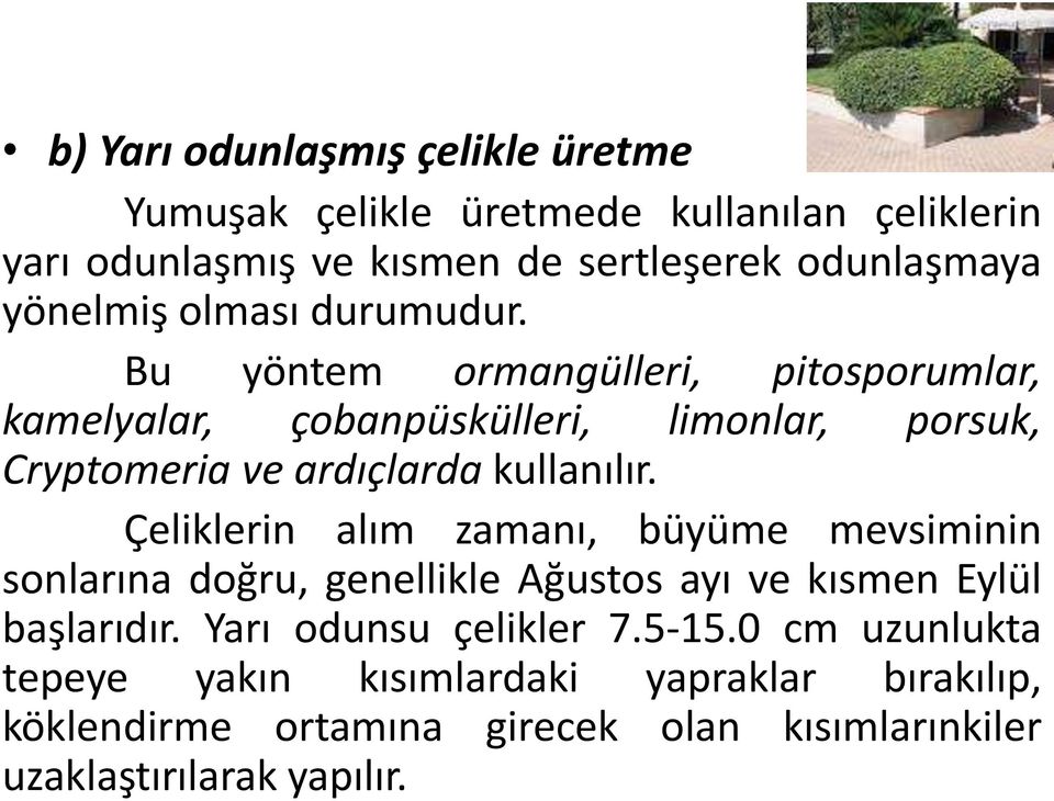 Bu yöntem ormangülleri, pitosporumlar, kamelyalar, çobanpüskülleri, limonlar, porsuk, Cryptomeria ve ardıçlarda kullanılır.