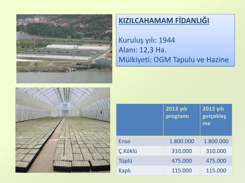 Mülkiyeti: OGM Tapulu ve Hazine programı gerçekleş