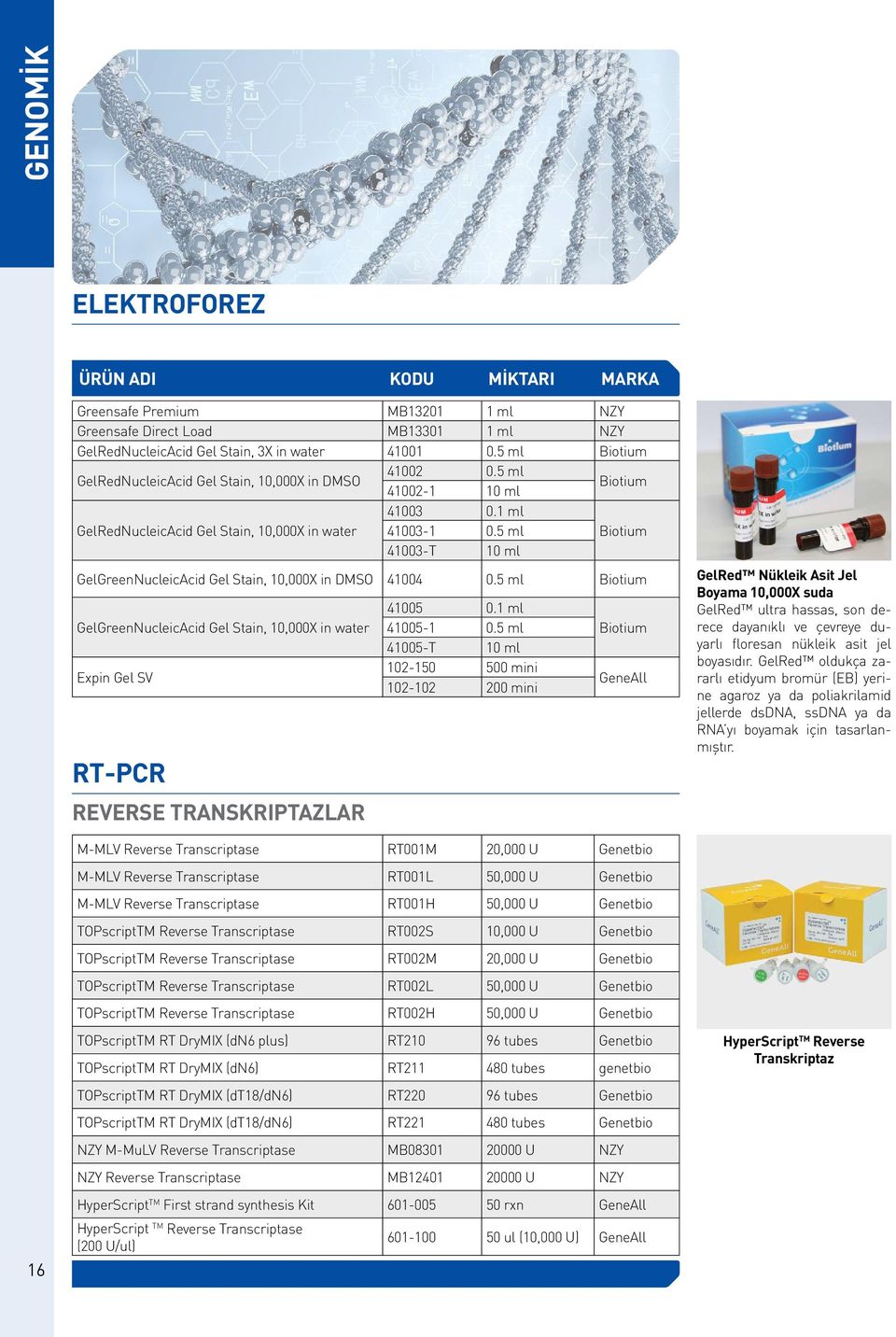 5 ml Biotium 41003-T 10 ml GelGreenNucleicAcid Gel Stain, 10,000X in DMSO 41004 0.5 ml Biotium GelGreenNucleicAcid Gel Stain, 10,000X in water Expin Gel SV RT-PCR REVERSE TRANSKRIPTAZLAR 41005 0.