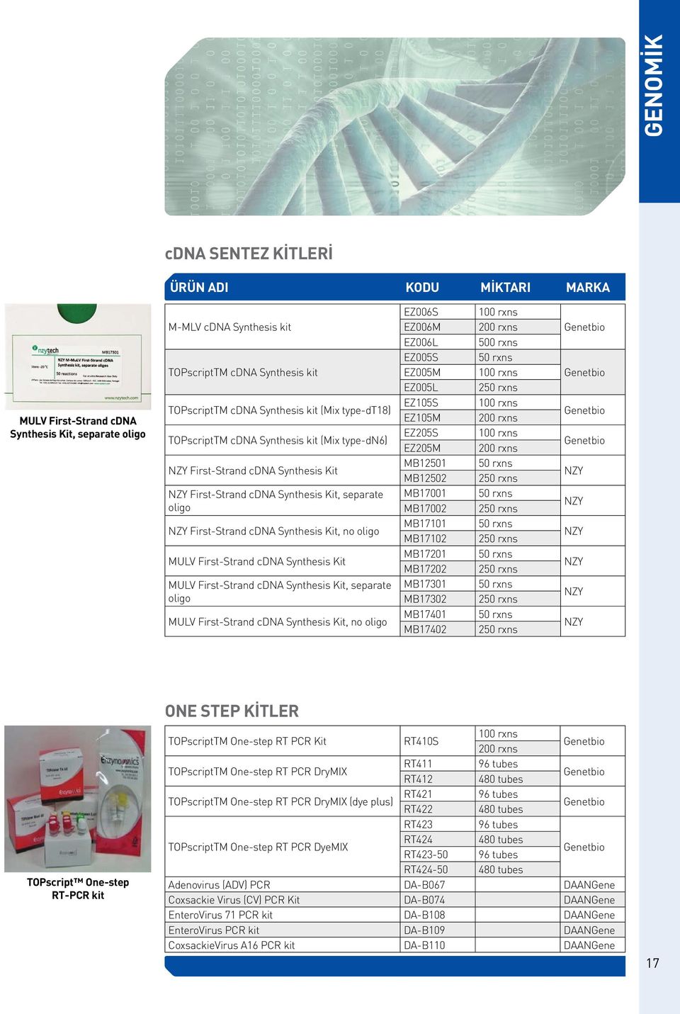 First-Strand cdna Synthesis Kit MULV First-Strand cdna Synthesis Kit, separate oligo MULV First-Strand cdna Synthesis Kit, no oligo EZ006S EZ006M EZ006L EZ005S EZ005M EZ005L EZ105S EZ105M EZ205S