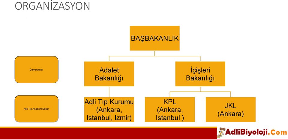 Anabilim Dalları Adli Tıp Kurumu (Ankara,