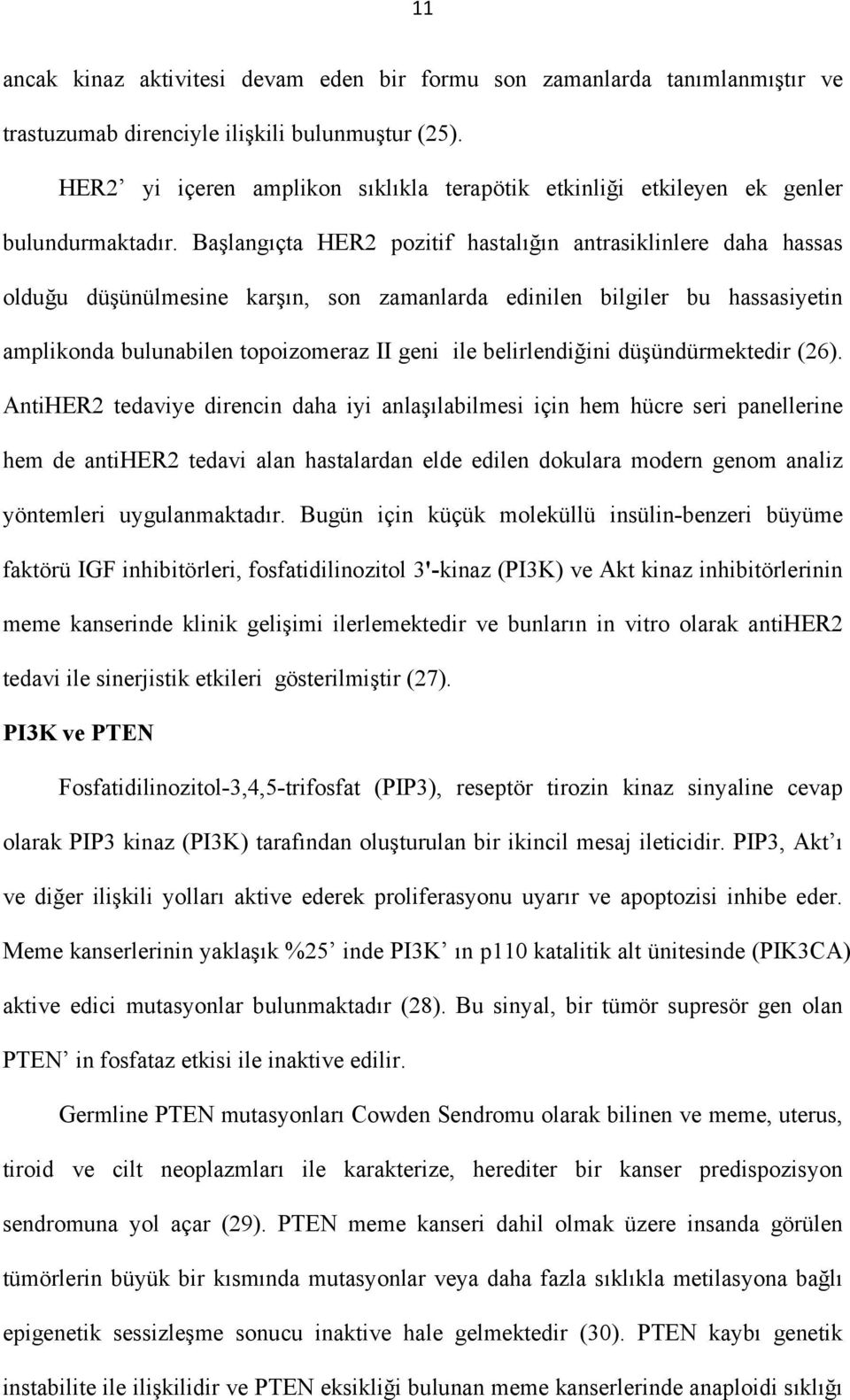 Başlangıçta HER2 pozitif hastalığın antrasiklinlere daha hassas olduğu düşünülmesine karşın, son zamanlarda edinilen bilgiler bu hassasiyetin amplikonda bulunabilen topoizomeraz II geni ile