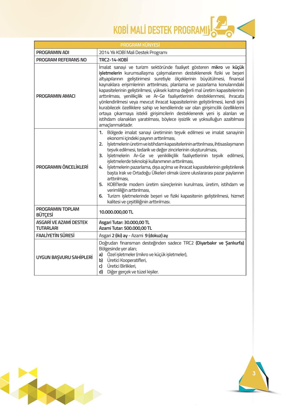 geliștirimesi suretiyle ölçeklerinin büyütülmesi, finansal kaynaklara erișimlerinin arttırılması, planlama ve pazarlama konularındaki kapasitelerinin geliștirilmesi, yüksek katma değerli mal üretim