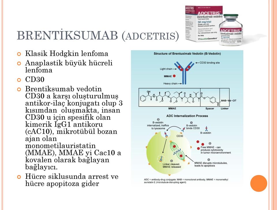 için spesifik olan kimerik IgG1 antikoru (cac10), mikrotübül bozan ajan olan monometilauristatin