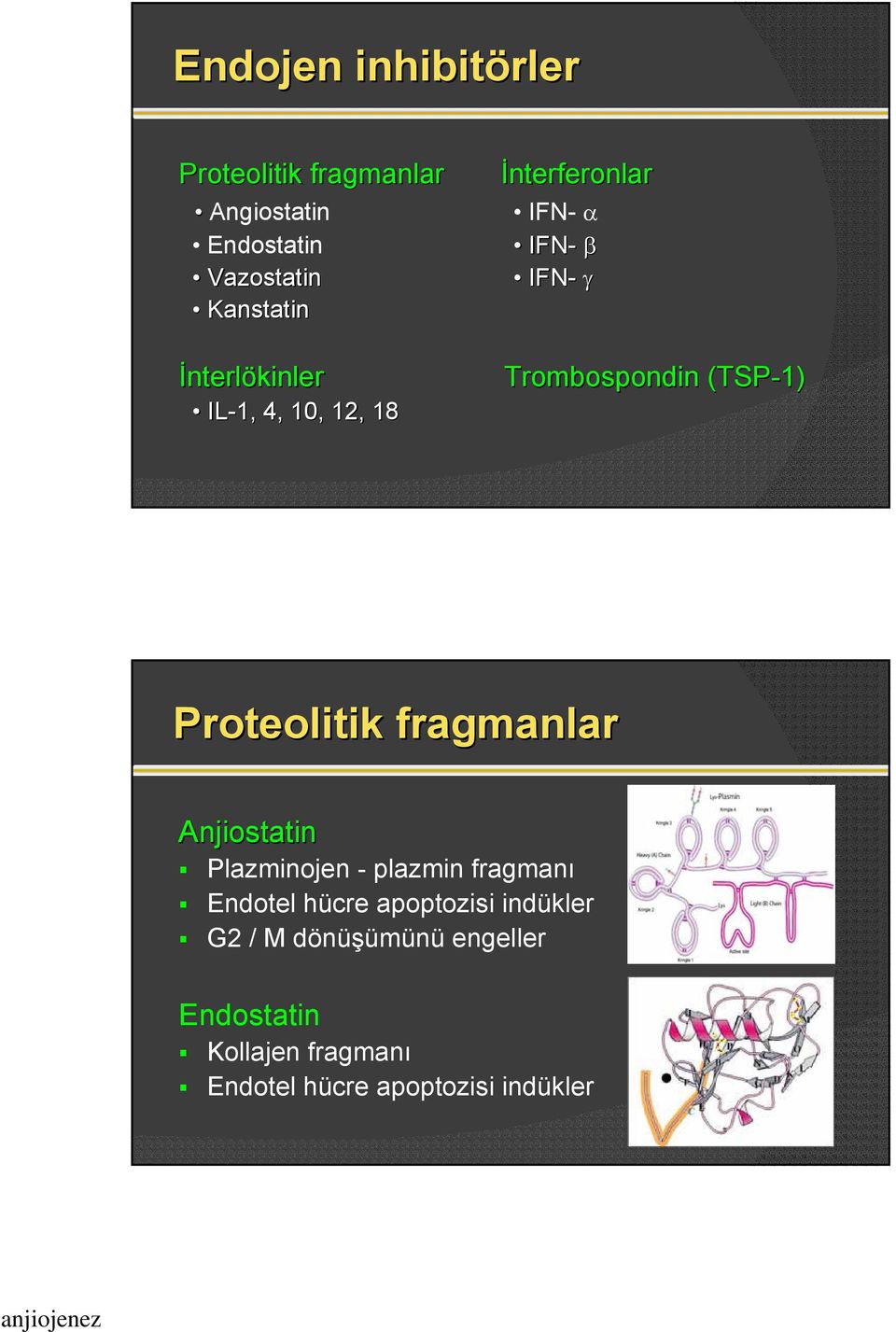 Proteolitik fragmanlar Anjiostatin Plazminojen - plazmin fragmanı Endotel hücre apoptozisi