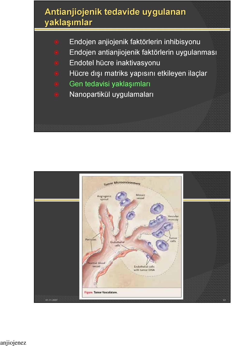 uygulanması Endotel hücre inaktivasyonu Hücre dışı matriks yapısını