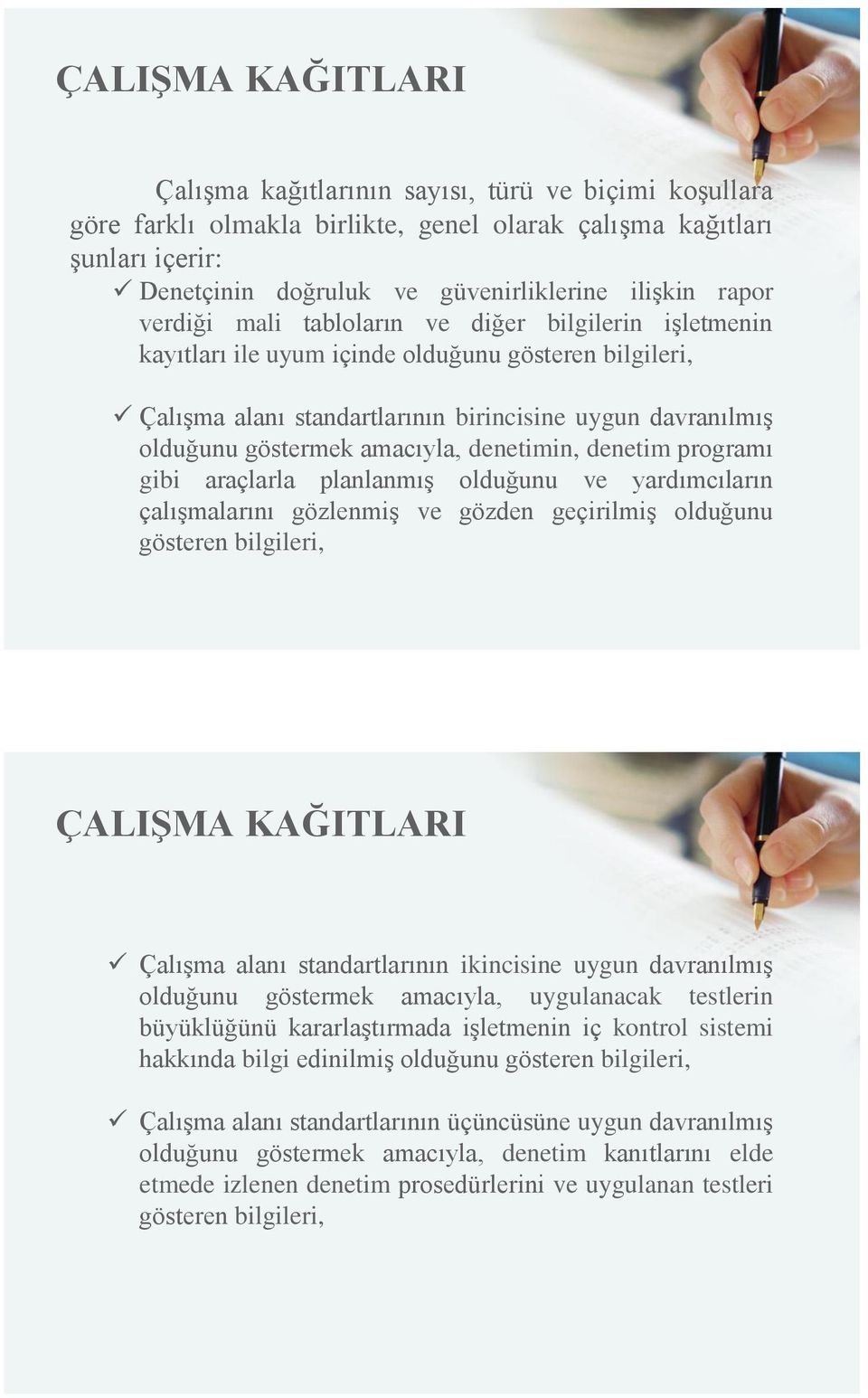 amacıyla, denetimin, denetim programı gibi araçlarla planlanmış olduğunu ve yardımcıların çalışmalarını gözlenmiş ve gözden geçirilmiş olduğunu gösteren bilgileri, ÇALIŞMA KAĞITLARI Çalışma alanı