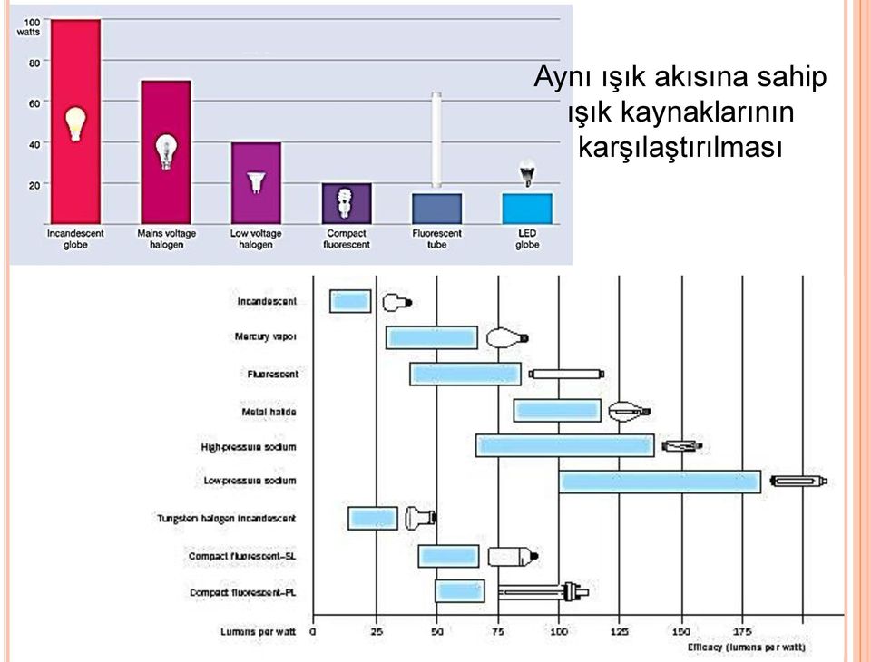 ışık