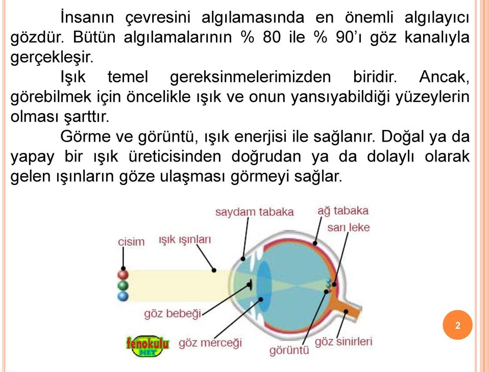 Ancak, görebilmek için öncelikle ışık ve onun yansıyabildiği yüzeylerin olması şarttır.