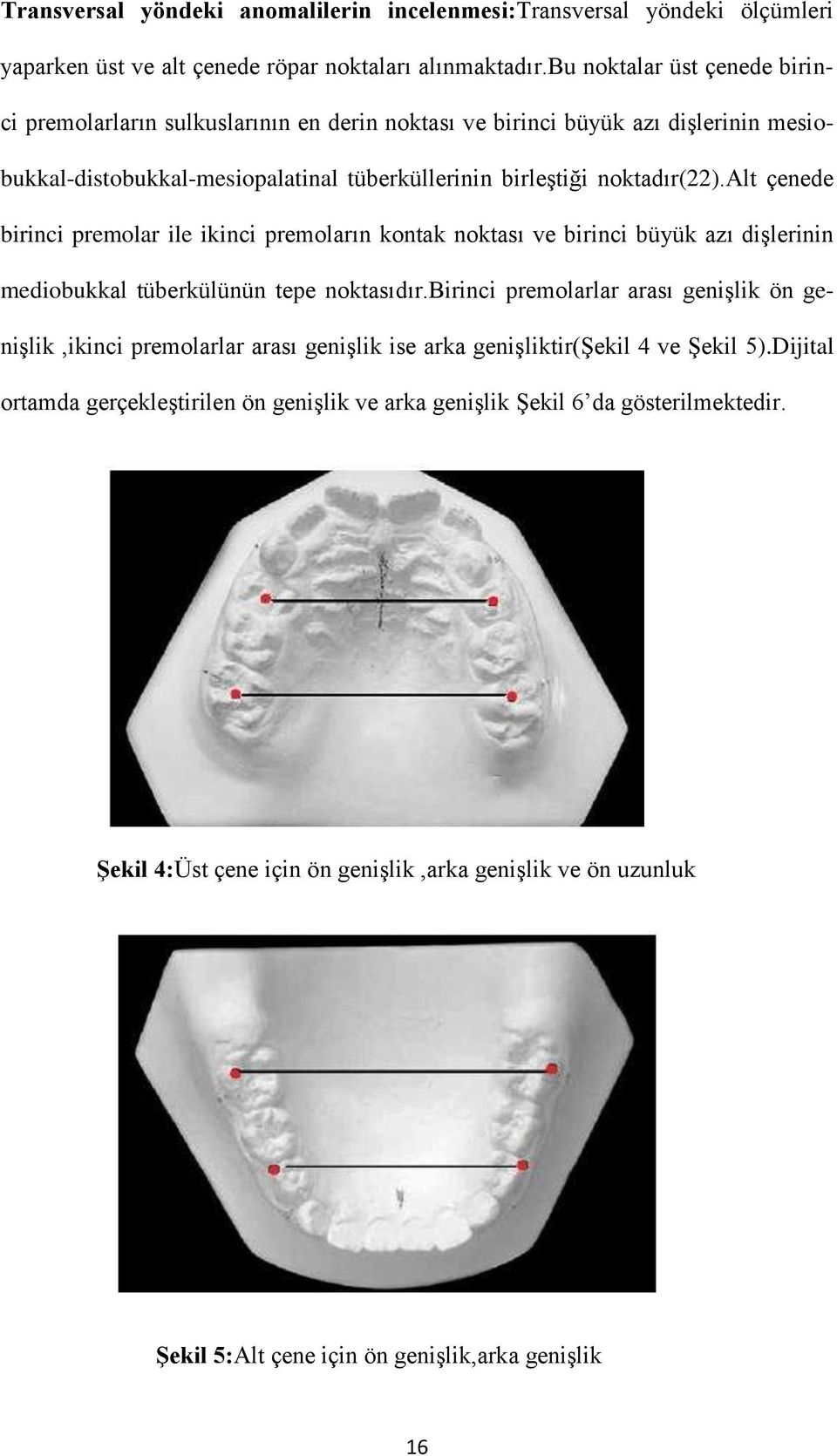alt çenede birinci premolar ile ikinci premoların kontak noktası ve birinci büyük azı dişlerinin mediobukkal tüberkülünün tepe noktasıdır.