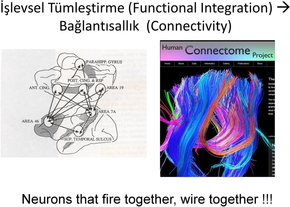 Bağlantısallık (Connectivity)