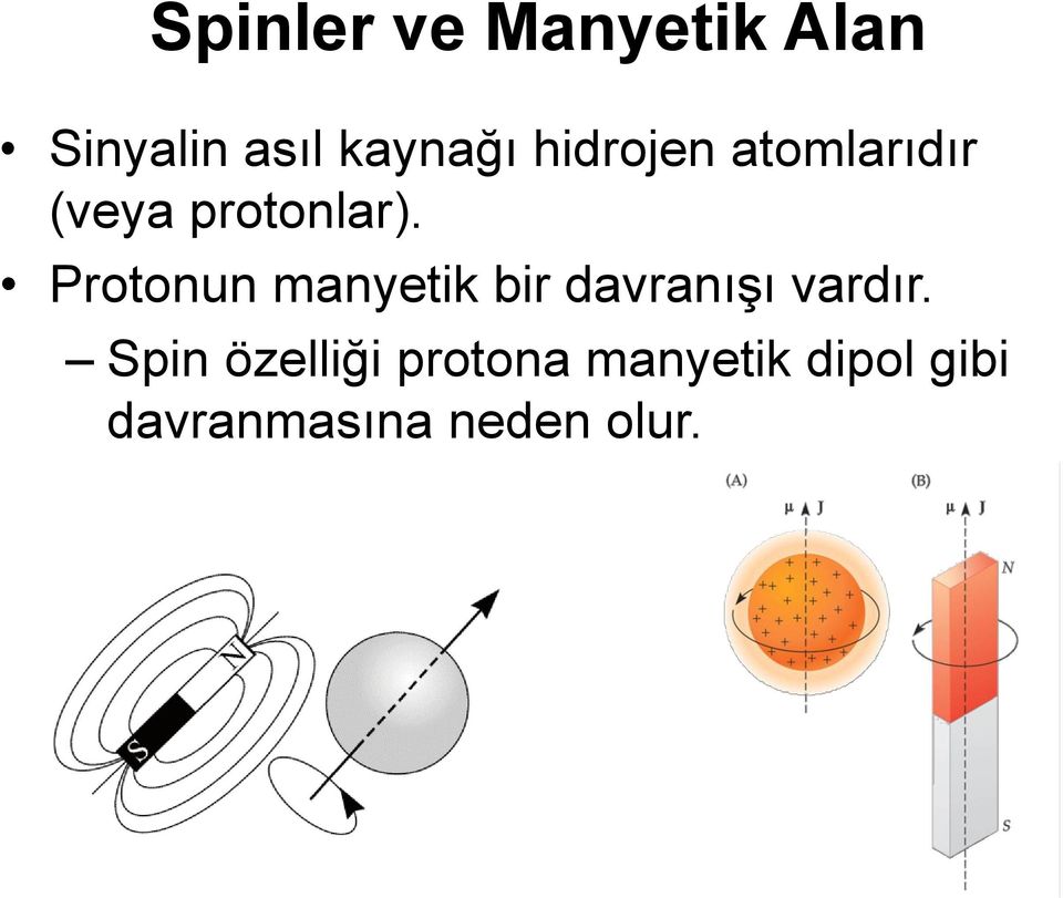 Protonun manyetik bir davranışı vardır.