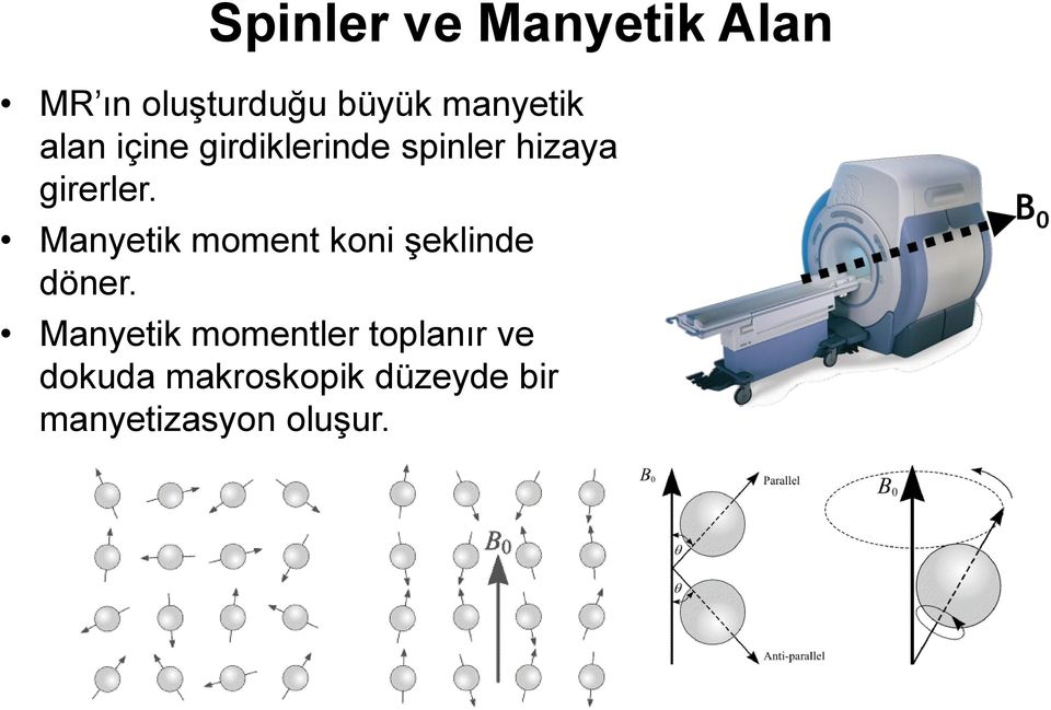 girerler. Manyetik moment koni şeklinde döner.