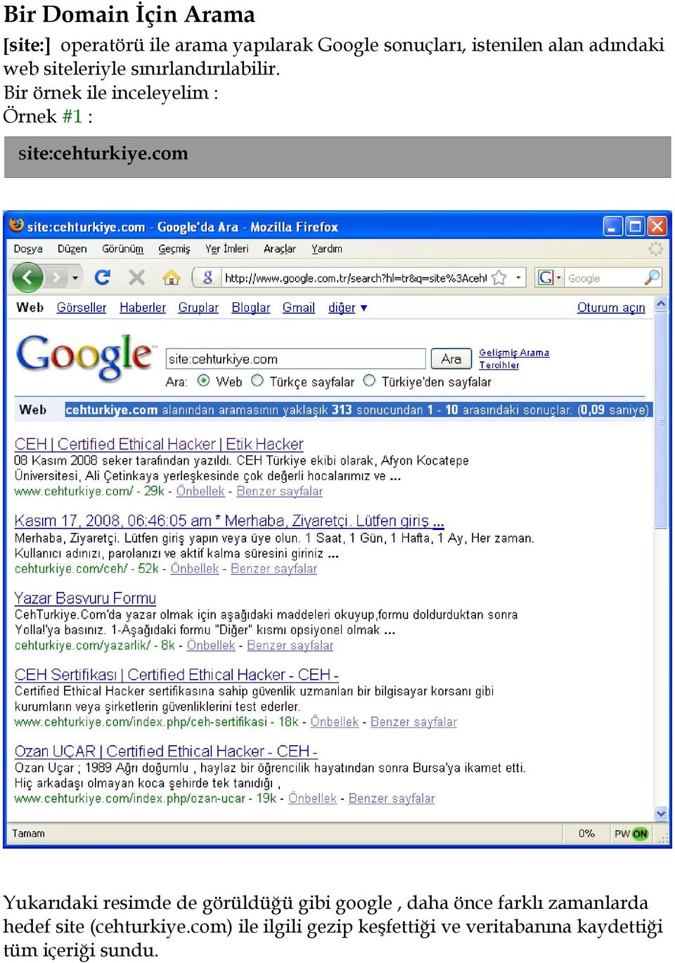 Bir örnek ile inceleyelim : Örnek #1 : site:cehturkiye.