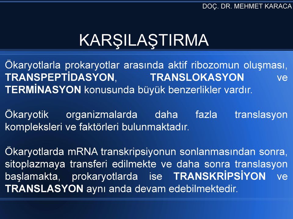 Ökaryotik organizmalarda daha fazla translasyon kompleksleri ve faktörleri bulunmaktadır.