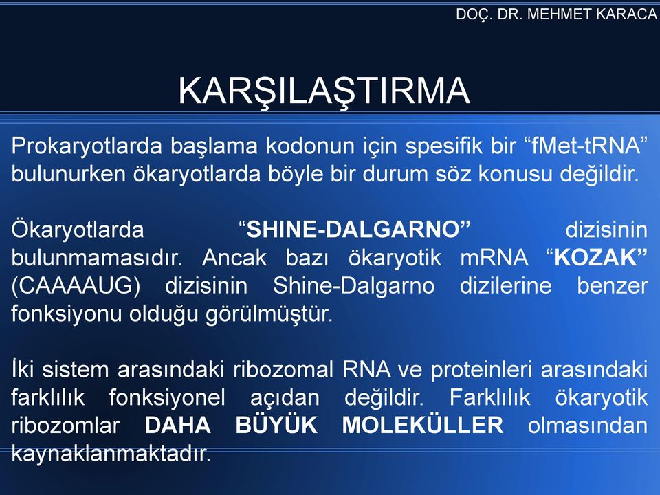 Ancak bazı ökaryotik mrna KOZAK (CAAAAUG) dizisinin Shine-Dalgarno dizilerine benzer fonksiyonu olduğu görülmüştür.