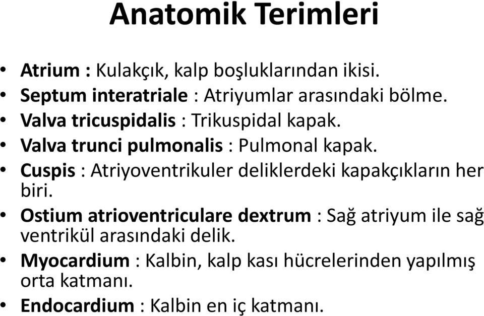 Valva trunci pulmonalis : Pulmonal kapak. Cuspis : Atriyoventrikuler deliklerdeki kapakçıkların her biri.