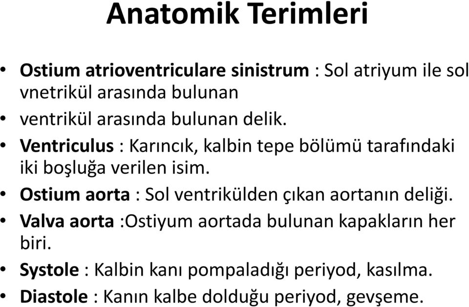 Ventriculus : Karıncık, kalbin tepe bölümü tarafındaki iki boşluğa verilen isim.