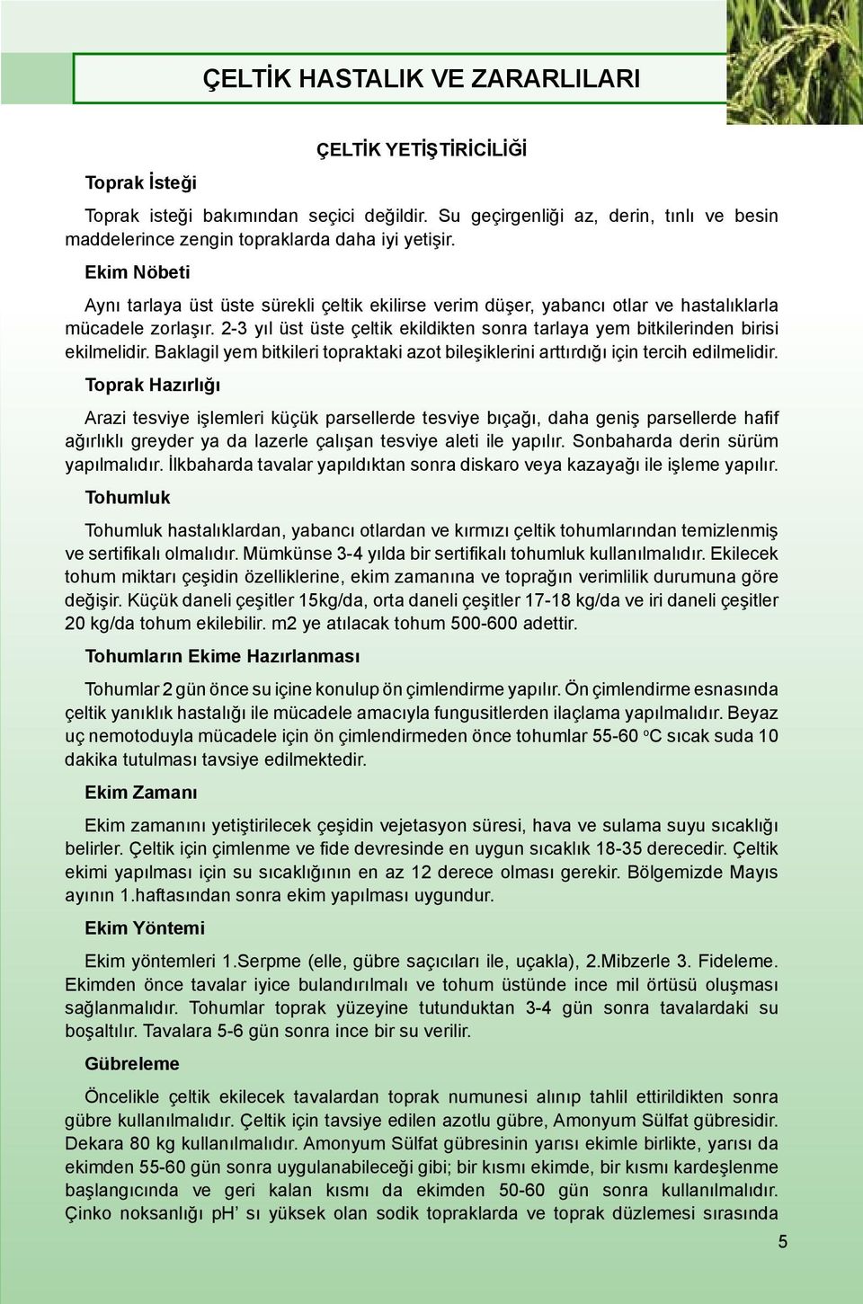 2-3 yıl üst üste çeltik ekildikten sonra tarlaya yem bitkilerinden birisi ekilmelidir. Baklagil yem bitkileri topraktaki azot bileşiklerini arttırdığı için tercih edilmelidir.