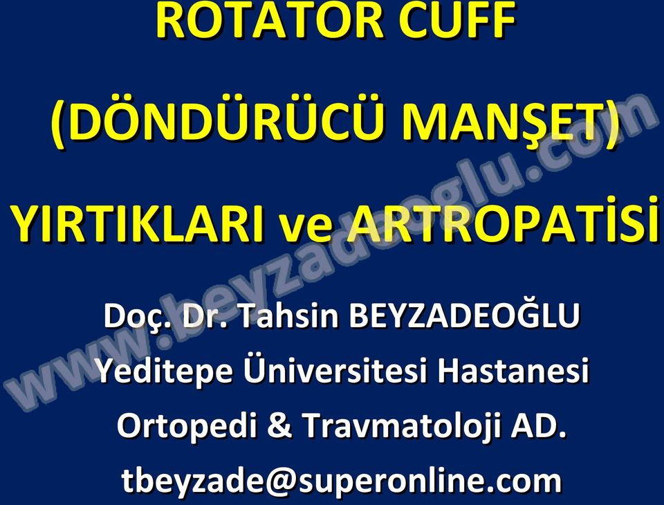Tahsin BEYZADEOĞLU Yeditepe Üniversitesi