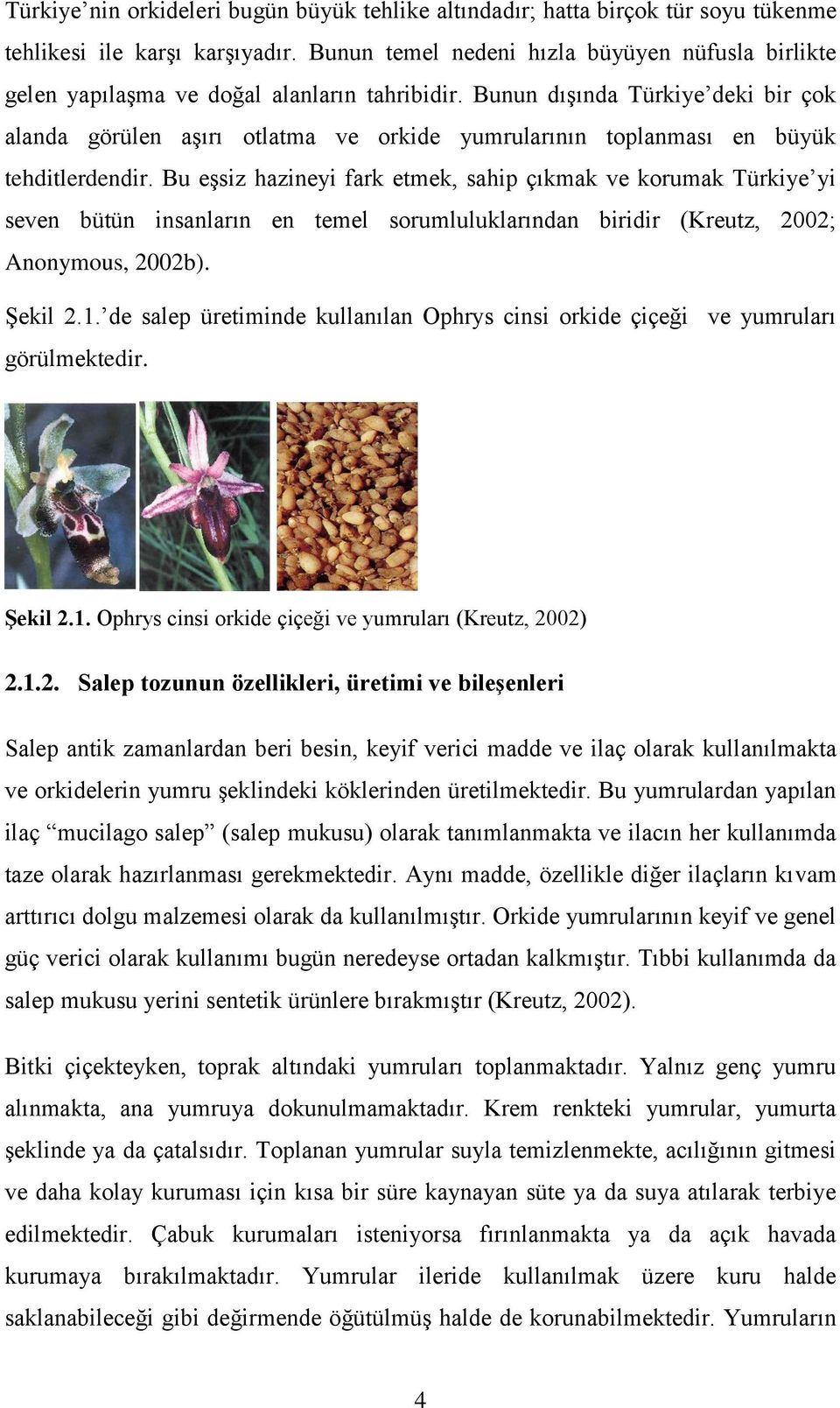 Bunun dışında Türkiye deki bir çok alanda görülen aşırı otlatma ve orkide yumrularının toplanması en büyük tehditlerdendir.