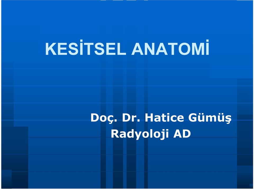 Dr. Hatice