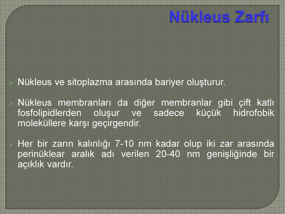 ve sadece küçük hidrofobik moleküllere karşı geçirgendir.