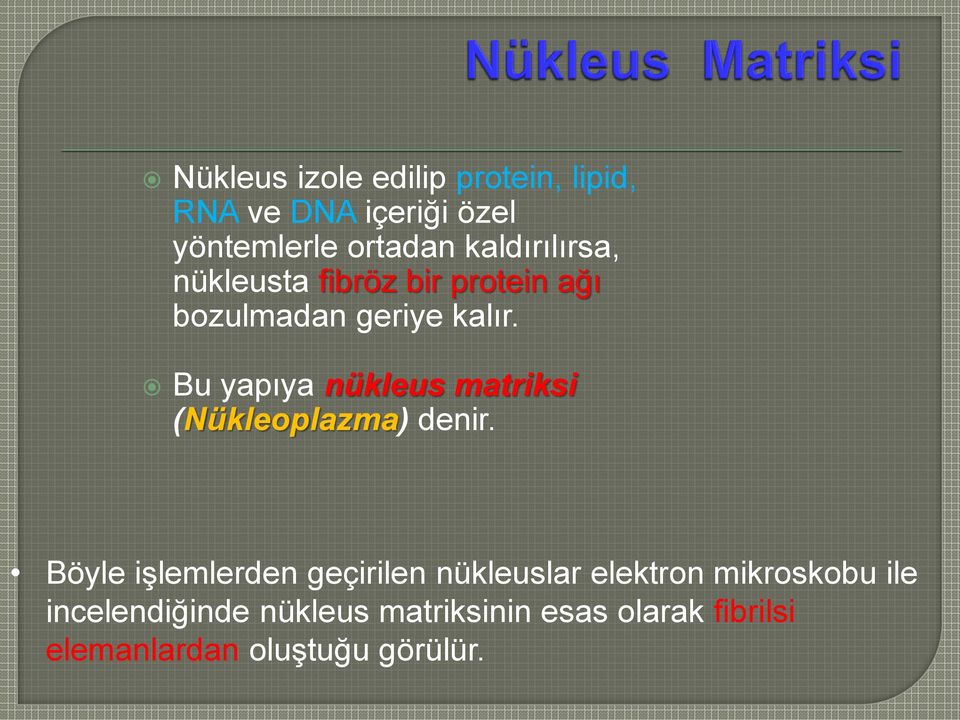 Bu yapıya nükleus matriksi (Nükleoplazma) denir.