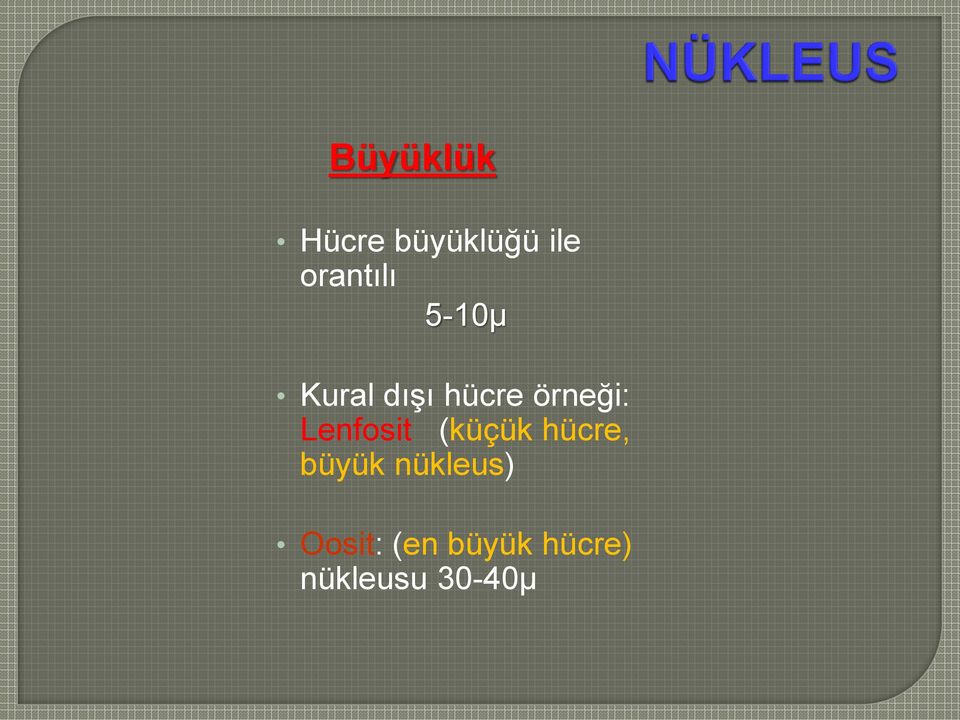 örneği: Lenfosit (küçük hücre, büyük