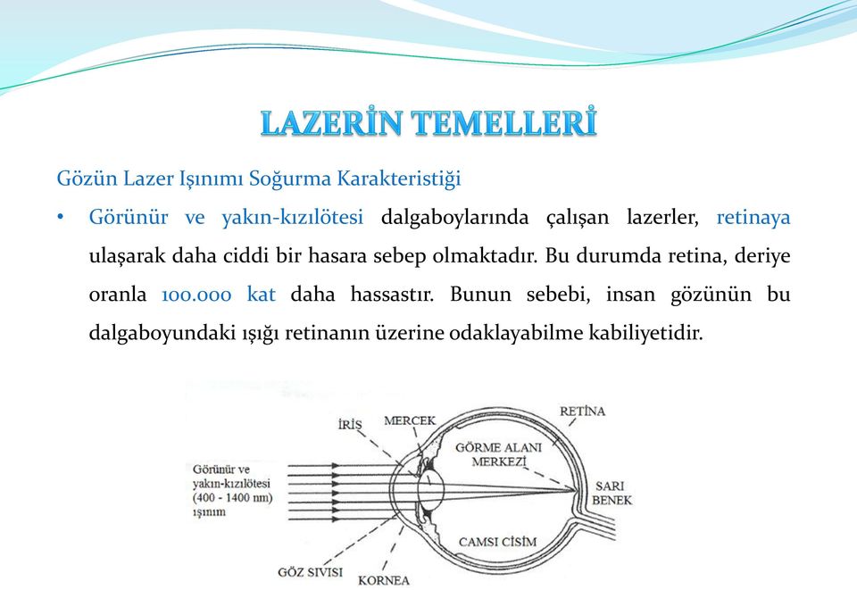 olmaktadır. Bu durumda retina, deriye oranla 100.000 kat daha hassastır.