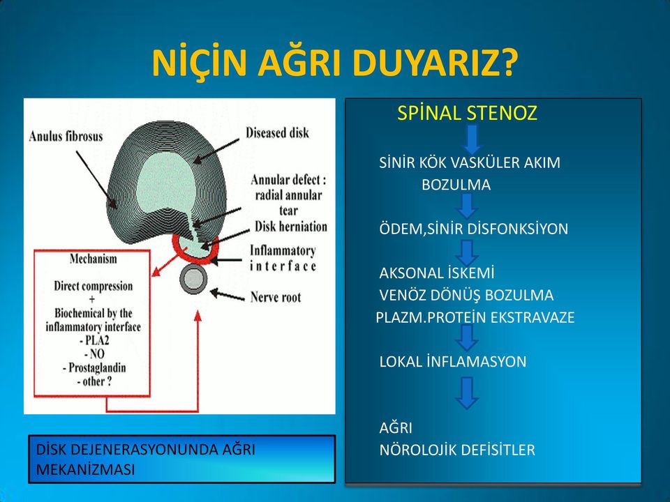 DİSFONKSİYON AKSONAL İSKEMİ VENÖZ DÖNÜŞ BOZULMA PLAZM.