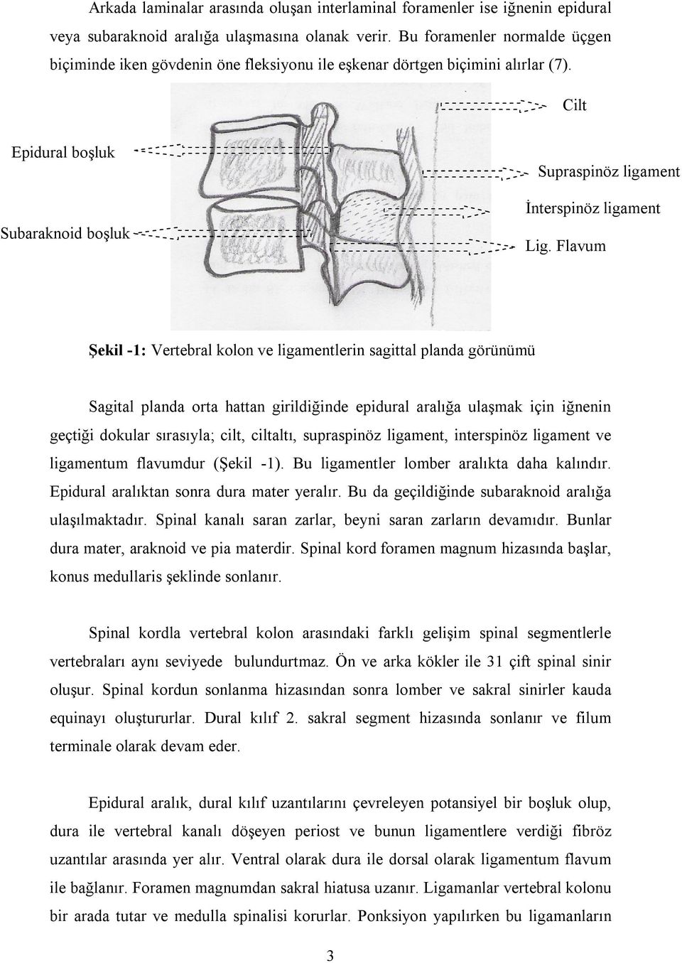 Flavum Şekil -1: Vertebral kolon ve ligamentlerin sagittal planda görünümü Sagital planda orta hattan girildiğinde epidural aralığa ulaşmak için iğnenin geçtiği dokular sırasıyla; cilt, ciltaltı,