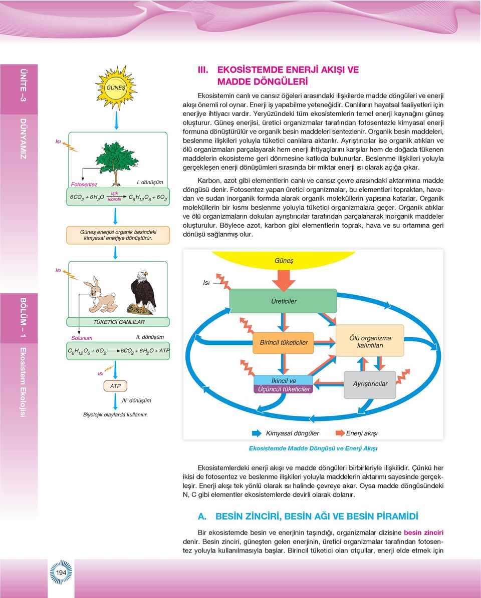 dönüflüm Biyolojik olaylarda kullan l r. III. EKOSİSTEMDE ENERJİ AKIŞI VE MADDE DÖNGÜLERİ Ekosistemin canlı ve cansız öğeleri arasındaki ilişkilerde madde döngüleri ve enerji akışı önemli rol oynar.