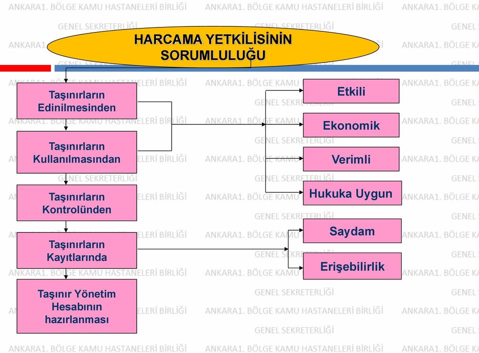 Ekonomik Verimli Taşınırların Kontrolünden Taşınırların