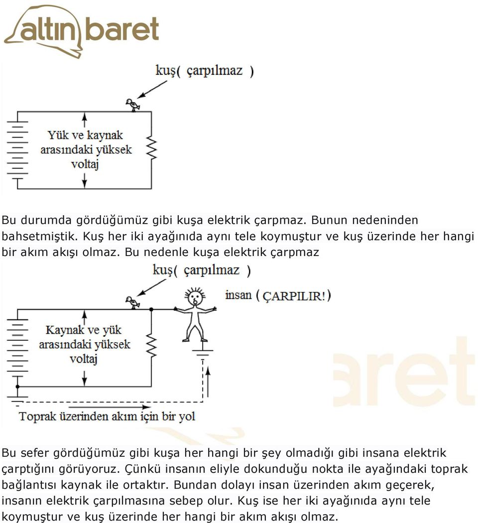 Bu nedenle kuşa elektrik çarpmaz Bu sefer gördüğümüz gibi kuşa her hangi bir şey olmadığı gibi insana elektrik çarptığını görüyoruz.