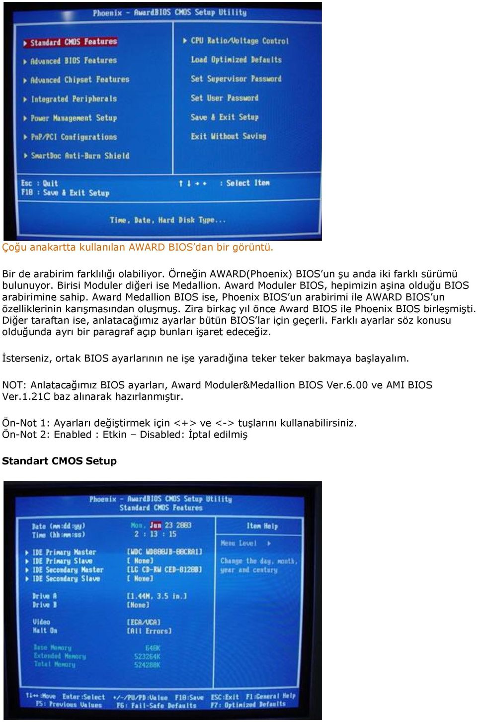 Zira birkaç yıl önce Award BIOS ile Phoenix BIOS birleşmişti. Diğer taraftan ise, anlatacağımız ayarlar bütün BIOS lar için geçerli.