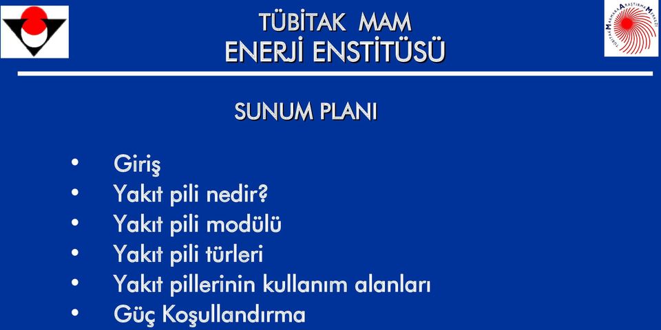 Yakıt pili modülü Yakıt pili türleri