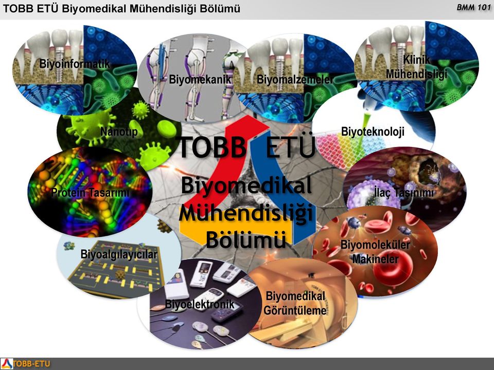 Protein Tasarımı T Biyoalgılayıcılar Biyomedikal Mühendisliği Bölümü M M