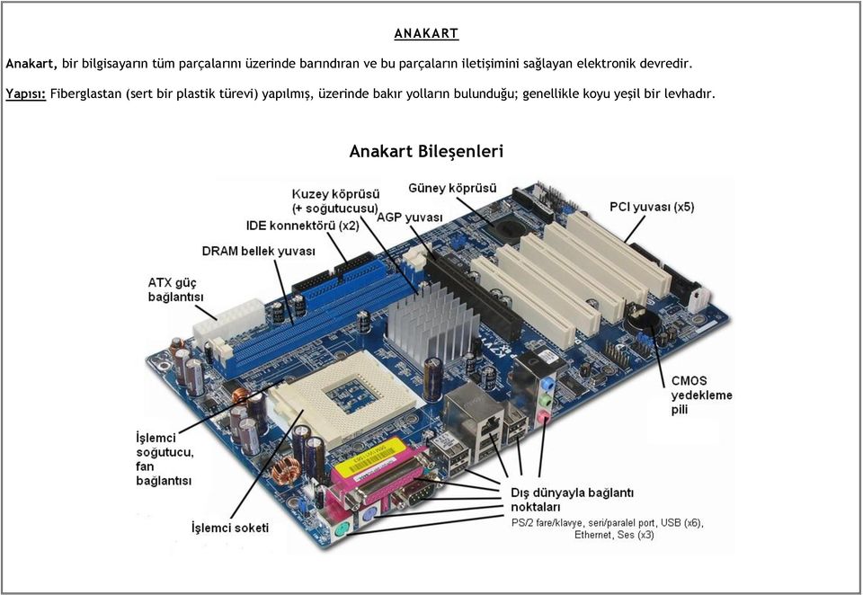 Yapısı: Fiberglastan (sert bir plastik türevi) yapılmış, üzerinde