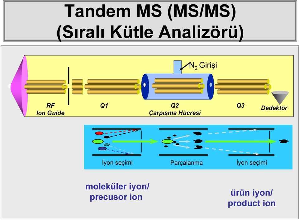 Dedektör İyon seçimi Parçalanma İyon seçimi