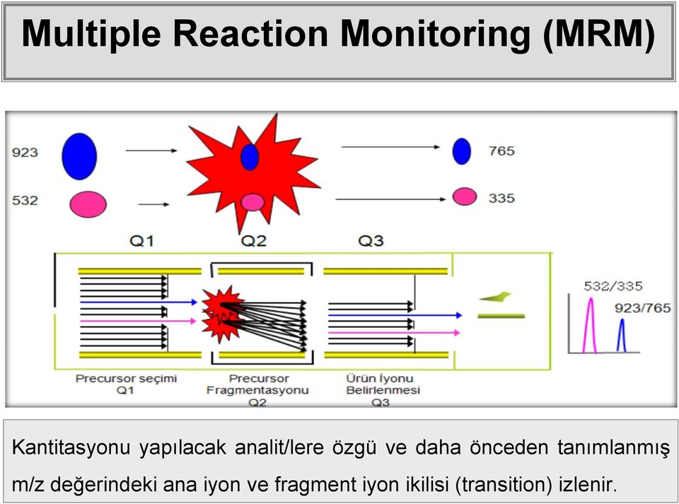 daha önceden tanımlanmış m/z değerindeki