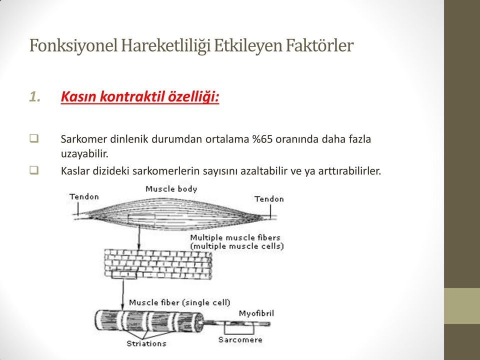 ortalama %65 oranında daha fazla uzayabilir.